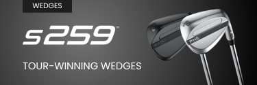 s259 Wedges Banner